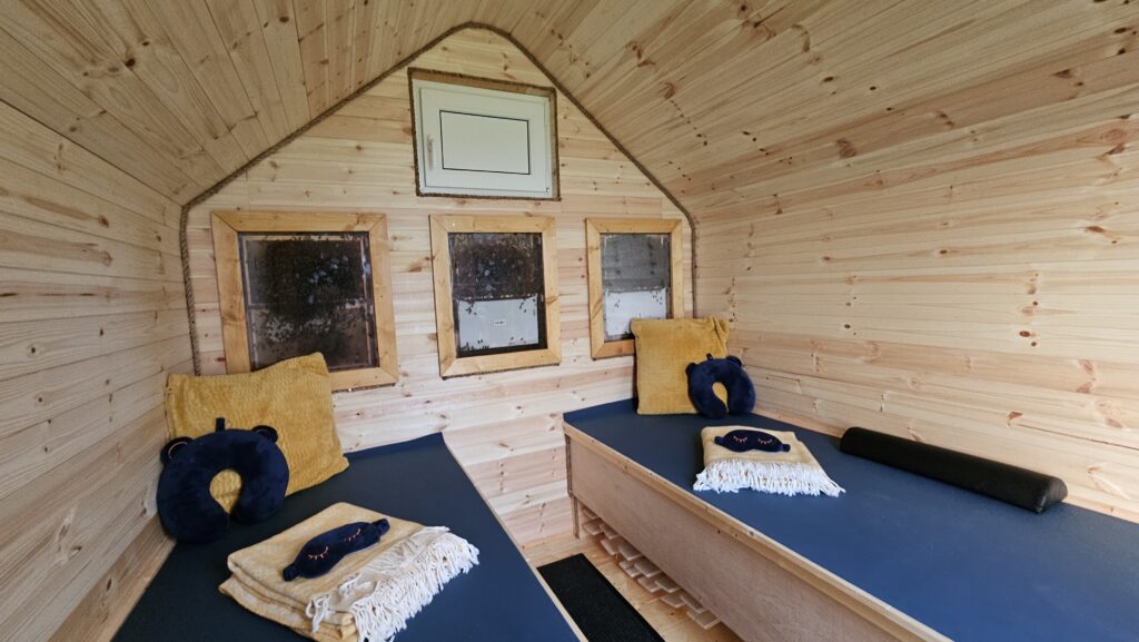 Build your own bee bed cabin with step-by-step training from The Bee Beds Academy