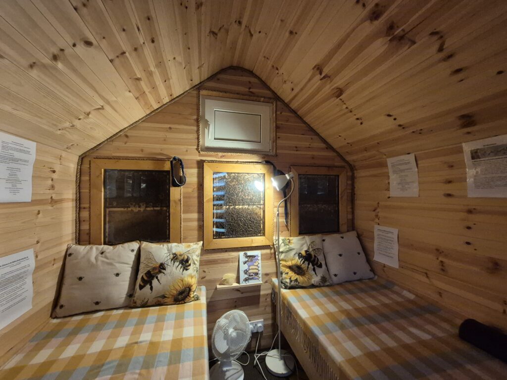 Luxury interior of a professionally designed Bee Bed cabin used for beekeeping tourism and visitor experiences.