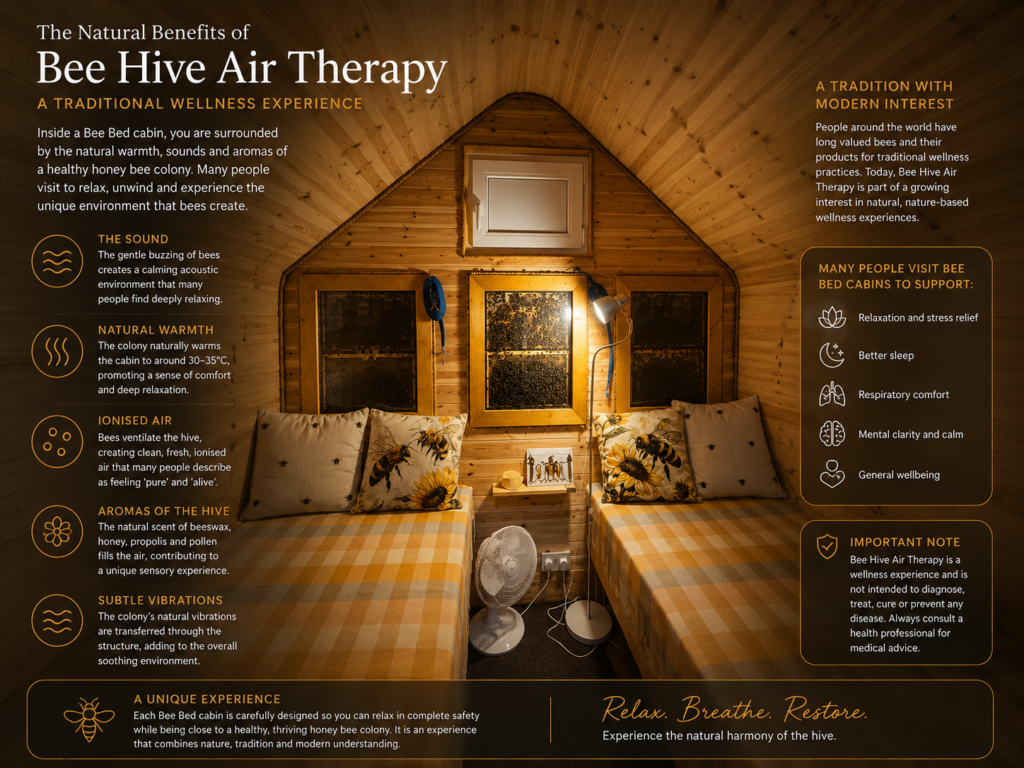 Interior of a Bee Bed cabin used for Bee Hive Air Therapy and Apitherapy, showing observation hives, comfortable beds and a natural wellness environment.